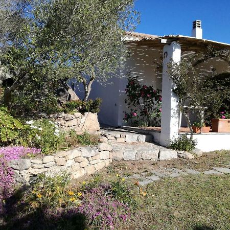 Agriturismo La Valletta Hotel Santa Teresa Gallura Eksteriør billede