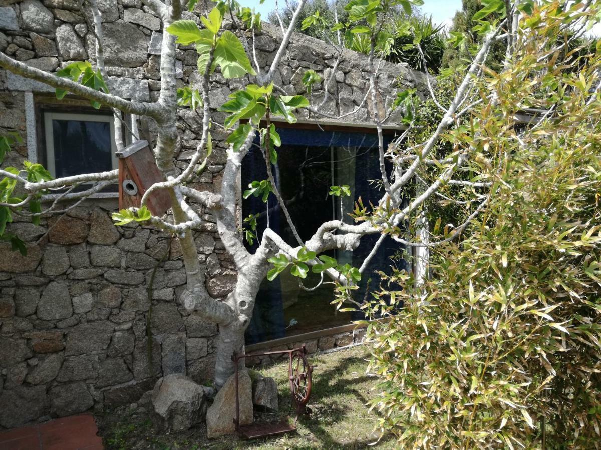 Agriturismo La Valletta Hotel Santa Teresa Gallura Eksteriør billede